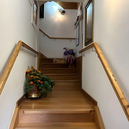 Meublè Giustina Couette-café Auronzo di Cadore